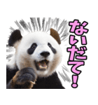 山形弁☆パンダ（個別スタンプ：21）