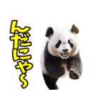 山形弁☆パンダ（個別スタンプ：28）