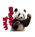 山形弁☆パンダ（個別スタンプ：32）