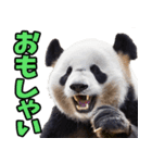 山形弁☆パンダ（個別スタンプ：38）