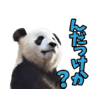 山形弁☆パンダ（個別スタンプ：39）