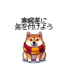秋 冬 太っちょ柴犬 季節の気遣い（個別スタンプ：2）