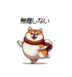 秋 冬 太っちょ柴犬 季節の気遣い（個別スタンプ：3）