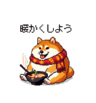 秋 冬 太っちょ柴犬 季節の気遣い（個別スタンプ：5）