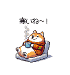 秋 冬 太っちょ柴犬 季節の気遣い（個別スタンプ：6）