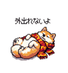 秋 冬 太っちょ柴犬 季節の気遣い（個別スタンプ：7）