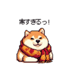 秋 冬 太っちょ柴犬 季節の気遣い（個別スタンプ：8）