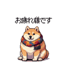 秋 冬 太っちょ柴犬 季節の気遣い（個別スタンプ：9）