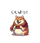秋 冬 太っちょ柴犬 季節の気遣い（個別スタンプ：12）