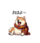 秋 冬 太っちょ柴犬 季節の気遣い（個別スタンプ：13）