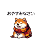 秋 冬 太っちょ柴犬 季節の気遣い（個別スタンプ：14）