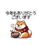 秋 冬 太っちょ柴犬 季節の気遣い（個別スタンプ：15）