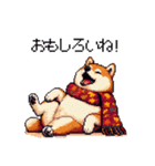 秋 冬 太っちょ柴犬 季節の気遣い（個別スタンプ：17）