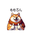 秋 冬 太っちょ柴犬 季節の気遣い（個別スタンプ：20）