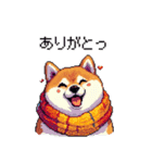 秋 冬 太っちょ柴犬 季節の気遣い（個別スタンプ：25）