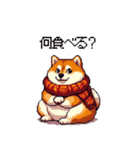 秋 冬 太っちょ柴犬 季節の気遣い（個別スタンプ：26）