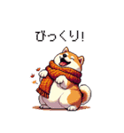 秋 冬 太っちょ柴犬 季節の気遣い（個別スタンプ：27）