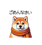 秋 冬 太っちょ柴犬 季節の気遣い（個別スタンプ：29）