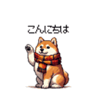 秋 冬 太っちょ柴犬 季節の気遣い（個別スタンプ：31）