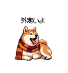 秋 冬 太っちょ柴犬 季節の気遣い（個別スタンプ：33）