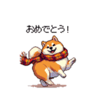 秋 冬 太っちょ柴犬 季節の気遣い（個別スタンプ：34）