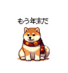 秋 冬 太っちょ柴犬 季節の気遣い（個別スタンプ：35）