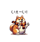 秋 冬 太っちょ柴犬 季節の気遣い（個別スタンプ：36）