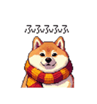 秋 冬 太っちょ柴犬 季節の気遣い（個別スタンプ：37）