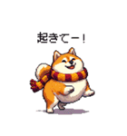 秋 冬 太っちょ柴犬 季節の気遣い（個別スタンプ：38）