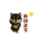 動く！踊る豆黒柴（個別スタンプ：4）