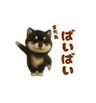 動く！踊る豆黒柴（個別スタンプ：7）