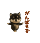 動く！踊る豆黒柴（個別スタンプ：9）