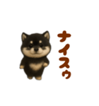 動く！踊る豆黒柴（個別スタンプ：12）