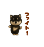 動く！踊る豆黒柴（個別スタンプ：13）