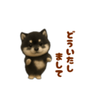 動く！踊る豆黒柴（個別スタンプ：14）