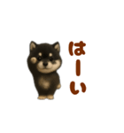 動く！踊る豆黒柴（個別スタンプ：15）