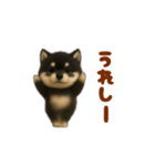 動く！踊る豆黒柴（個別スタンプ：17）