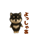 動く！踊る豆黒柴（個別スタンプ：18）