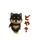 動く！踊る豆黒柴（個別スタンプ：20）