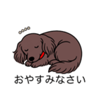 名前入りダックスロングチョコソリッド（個別スタンプ：9）