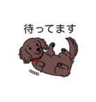 名前入りダックスロングチョコソリッド（個別スタンプ：10）