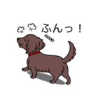 名前入りダックスロングチョコソリッド（個別スタンプ：14）