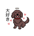 名前入りダックスロングチョコソリッド（個別スタンプ：18）