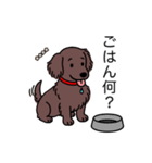 名前入りダックスロングチョコソリッド（個別スタンプ：24）