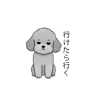 やる気のない・怠惰なトイプードル（個別スタンプ：2）
