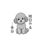やる気のない・怠惰なトイプードル（個別スタンプ：3）