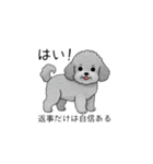 やる気のない・怠惰なトイプードル（個別スタンプ：5）