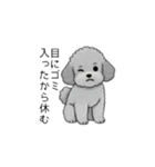 やる気のない・怠惰なトイプードル（個別スタンプ：11）