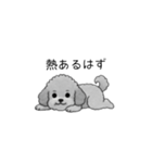 やる気のない・怠惰なトイプードル（個別スタンプ：12）