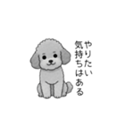 やる気のない・怠惰なトイプードル（個別スタンプ：13）
